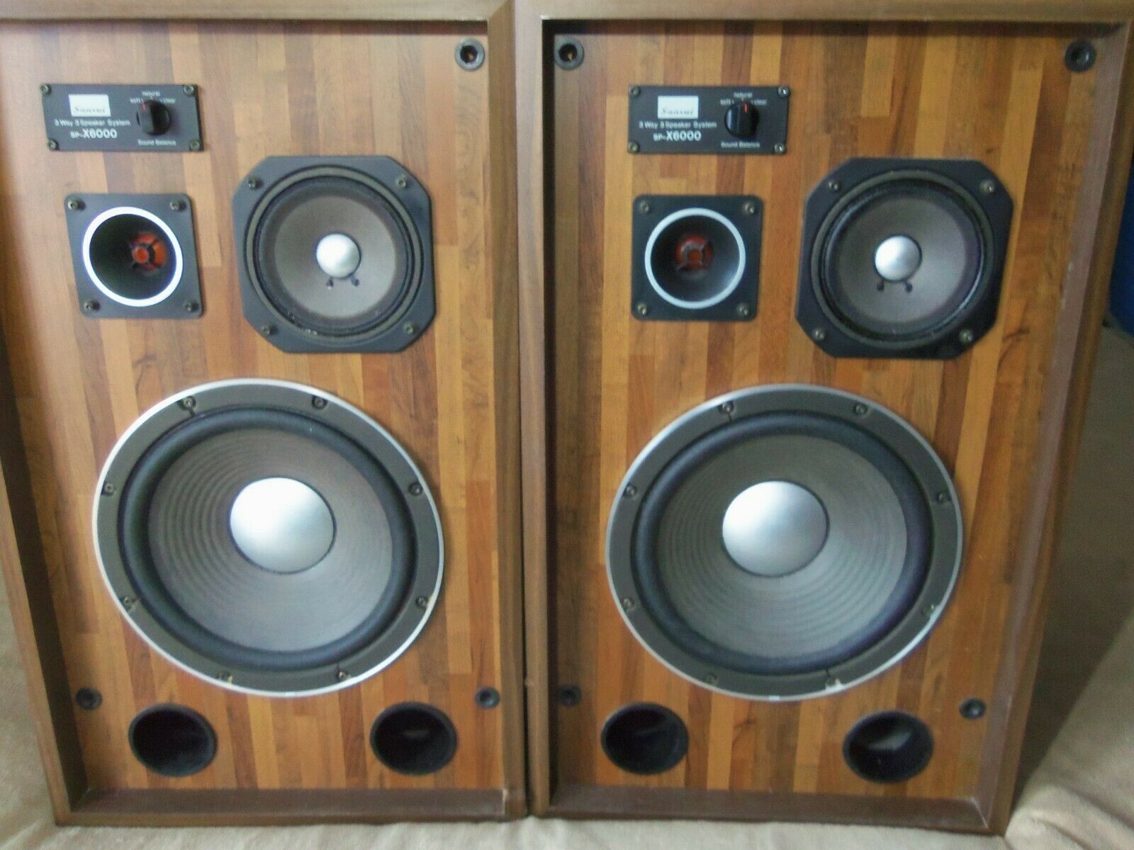 Sansui  Sp-x6000 Speakers